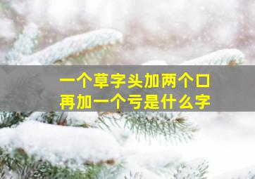 一个草字头加两个口再加一个亏是什么字