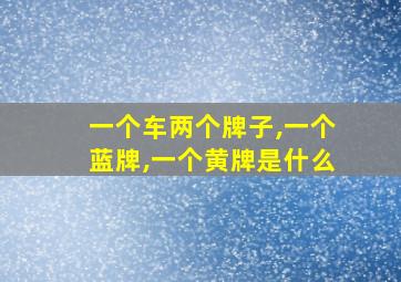 一个车两个牌子,一个蓝牌,一个黄牌是什么