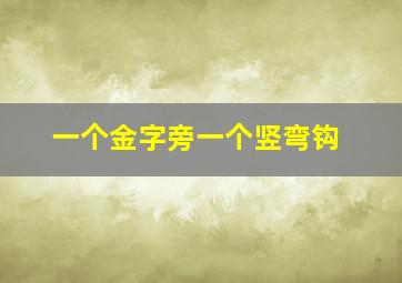 一个金字旁一个竖弯钩