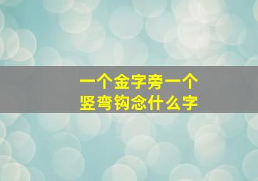 一个金字旁一个竖弯钩念什么字