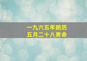 一九六五年阴历五月二十八男命