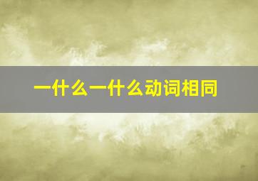 一什么一什么动词相同