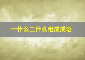 一什么二什么组成成语