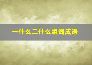 一什么二什么组词成语