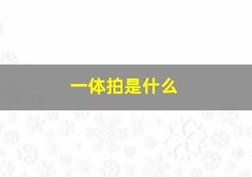 一体拍是什么