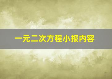 一元二次方程小报内容