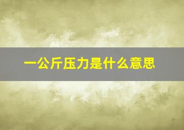 一公斤压力是什么意思