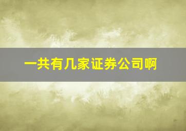 一共有几家证券公司啊