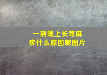 一到晚上长荨麻疹什么原因呢图片