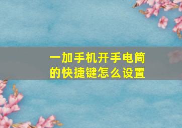 一加手机开手电筒的快捷键怎么设置