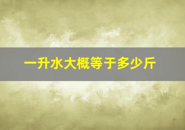 一升水大概等于多少斤