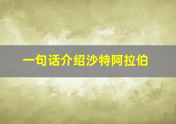 一句话介绍沙特阿拉伯