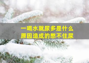 一喝水就尿多是什么原因造成的憋不住尿