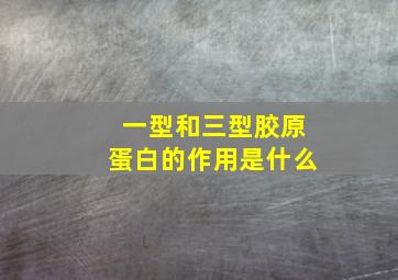 一型和三型胶原蛋白的作用是什么