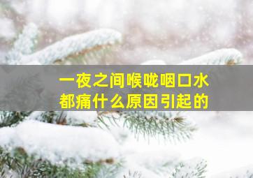 一夜之间喉咙咽口水都痛什么原因引起的