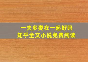 一夫多妻在一起好吗知乎全文小说免费阅读