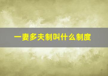 一妻多夫制叫什么制度