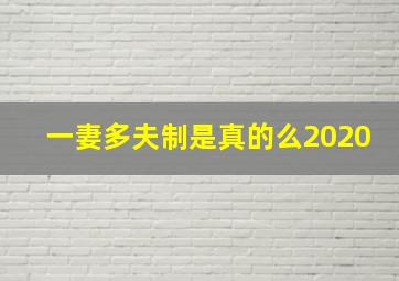 一妻多夫制是真的么2020