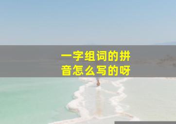 一字组词的拼音怎么写的呀