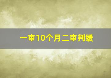 一审10个月二审判缓