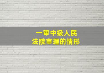 一审中级人民法院审理的情形