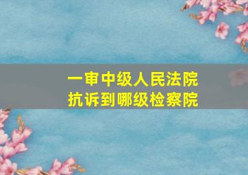 一审中级人民法院抗诉到哪级检察院