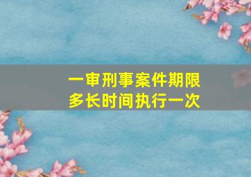 一审刑事案件期限多长时间执行一次