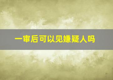 一审后可以见嫌疑人吗