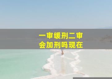 一审缓刑二审会加刑吗现在