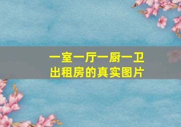 一室一厅一厨一卫出租房的真实图片