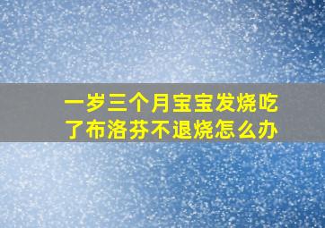 一岁三个月宝宝发烧吃了布洛芬不退烧怎么办