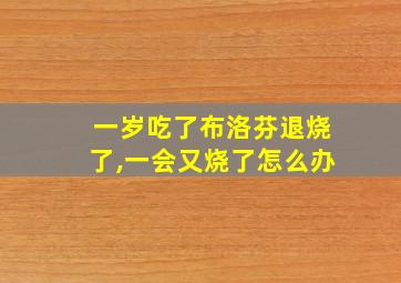 一岁吃了布洛芬退烧了,一会又烧了怎么办