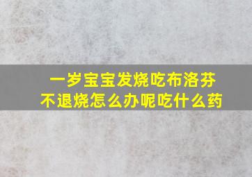 一岁宝宝发烧吃布洛芬不退烧怎么办呢吃什么药