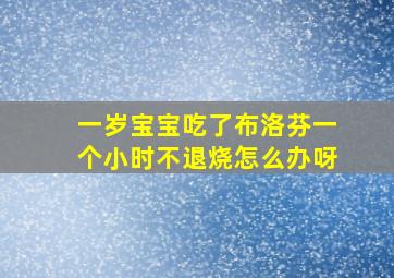 一岁宝宝吃了布洛芬一个小时不退烧怎么办呀