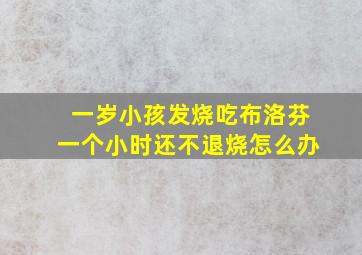 一岁小孩发烧吃布洛芬一个小时还不退烧怎么办