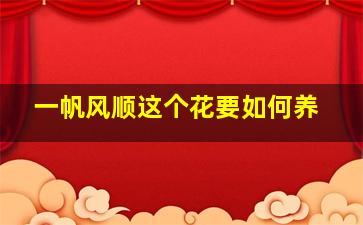 一帆风顺这个花要如何养