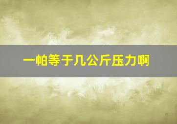 一帕等于几公斤压力啊