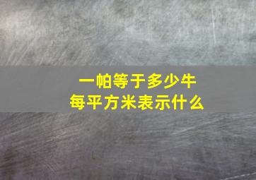 一帕等于多少牛每平方米表示什么