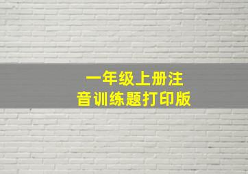 一年级上册注音训练题打印版