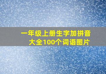 一年级上册生字加拼音大全100个词语图片