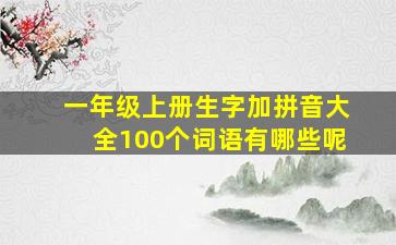 一年级上册生字加拼音大全100个词语有哪些呢