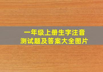 一年级上册生字注音测试题及答案大全图片