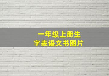 一年级上册生字表语文书图片