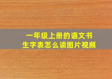 一年级上册的语文书生字表怎么读图片视频