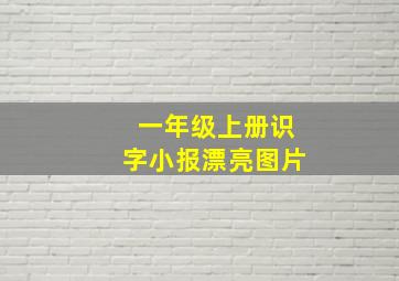 一年级上册识字小报漂亮图片