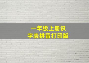 一年级上册识字表拼音打印版