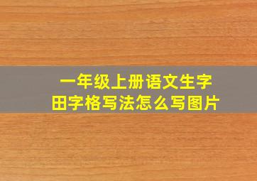 一年级上册语文生字田字格写法怎么写图片