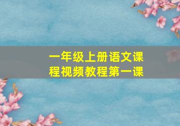 一年级上册语文课程视频教程第一课