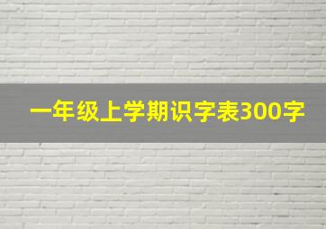 一年级上学期识字表300字