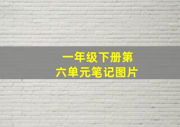 一年级下册第六单元笔记图片